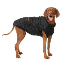 Load image into Gallery viewer, Large brown dog wearing the black FuzzYard Kojima dog jacket, showing the side fit and denim design.