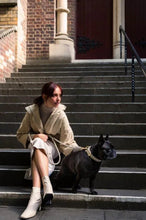 Load image into Gallery viewer, Dog wearing the Fuzzyard Life Atelier Dog Collar in Sandstone