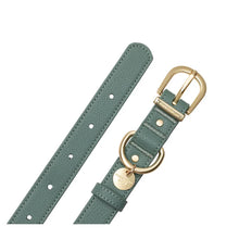 Load image into Gallery viewer, Fuzzyard Life Atelier Dog Rope Lead – Myrtle Green