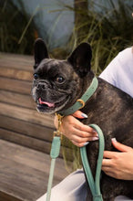 Load image into Gallery viewer, Fuzzyard Life Atelier Dog Rope Lead – Myrtle Green