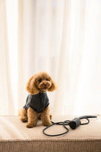 Load image into Gallery viewer, Fuzzyard Life Atelier Dog Rope Lead – Slate Grey
