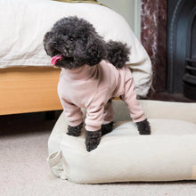 Load image into Gallery viewer, FuzzYard Life Dog Pyjamas – Soft Blush