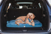 Load image into Gallery viewer, FuzzYard Life Lounge Mat – Luxury Orthopedic Pet Bed with Washable Cover (French Blue)