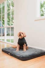 Load image into Gallery viewer, FuzzYard Life Lounge Mat – Luxury Orthopedic Pet Bed with Washable Cover (Slate Grey)