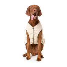 Load image into Gallery viewer, Large brown dog sitting wearing the beige sherpa reversible jacket with sage green trim.