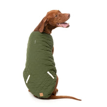 Load image into Gallery viewer, Large brown dog sitting side-on wearing the sage green quilted reversible dog jacket.