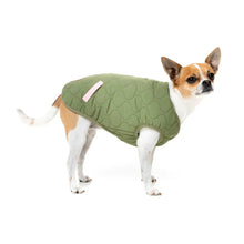 Load image into Gallery viewer, Dog standing side on wearing the FuzzYard Nara Reversible Jacket with the olive green quilted side facing out.
