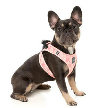 Load image into Gallery viewer, FuzzYard Pink Lemonade Step-In Dog Harness