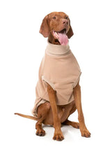Load image into Gallery viewer, Large brown dog sitting and wearing the beige FuzzYard Stevie Dog Sweater, showing the warm turtle neck pullover design.