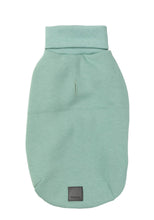 Load image into Gallery viewer, Mint FuzzYard Stevie Dog Sweater shown flat from the back with ribbed turtle neck and soft cotton fabric.
