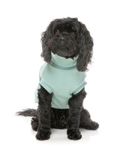 Load image into Gallery viewer, Small black dog sitting and wearing the mint FuzzYard Stevie Dog Sweater, showing the cosy turtle neck and snug fit.