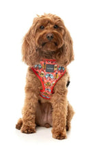 Load image into Gallery viewer, FuzzYard β The Homies Dog Step-In Harness