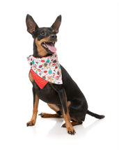 Load image into Gallery viewer, FuzzYard Tinsel Time Bow Tie & Bandana Set