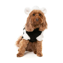 Load image into Gallery viewer, FuzzYard Winnie Hoodie β Panda- Cosy Dog Hoodie with Teddy Ears