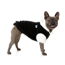 Load image into Gallery viewer, FuzzYard Winnie Hoodie β Panda- Cosy Dog Hoodie with Teddy Ears