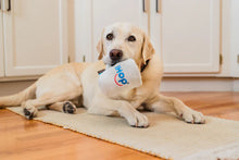 Load image into Gallery viewer, IHOP x P.L.A.Y. Barking Bean Brew Plush Dog Toy