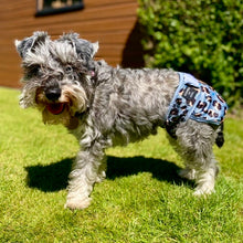 Load image into Gallery viewer, Steel Leopard – Reusable Dog Season & Hygiene Pants