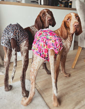 Load image into Gallery viewer, Florentina - Reusable Dog Season & Hygiene Pants