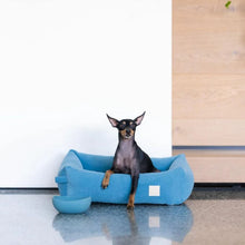 Load image into Gallery viewer, Dog sitting on a blue pet bed with a white wall and wooden floor in the background