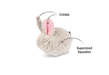 Load image into Gallery viewer, Forest Friends – Baxter The Bunny Plush Dog Toy by P.L.A.Y.