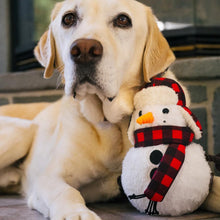 Load image into Gallery viewer, P.L.A.Y. Home for the Holidays – Blizzard Snowman Dog Toy