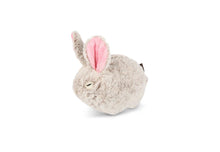 Load image into Gallery viewer, Forest Friends – Baxter The Bunny Plush Dog Toy by P.L.A.Y.