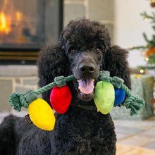 Load image into Gallery viewer, P.L.A.Y. – Home for the Holidays Christmas Lights Dog Toy