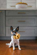 Load image into Gallery viewer, Pup Cup Café Cookies by P.L.A.Y.