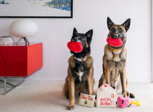 Load image into Gallery viewer, Love Bug Smoochy Poochy Dog Toy by P.L.A.Y