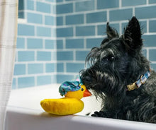 Load image into Gallery viewer, P.L.A.Y. Splish Splash – Bubbles the Duck Dog Toy
