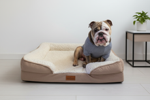 Load image into Gallery viewer, The Belgravia Orthopaedic Dog Sofa™ - Large