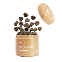 Load image into Gallery viewer, Hip & Joint Treats