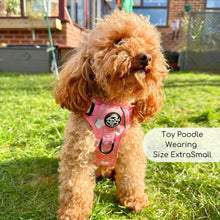 Load image into Gallery viewer, Peachy Hearts ‘Rugged Rover’ No-Pull Dog Harness – PupClub Couture