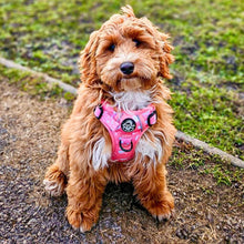 Load image into Gallery viewer, Peachy Hearts ‘Rugged Rover’ No-Pull Dog Harness – PupClub Couture