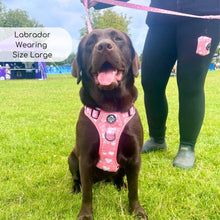 Load image into Gallery viewer, Peachy Hearts ‘Rugged Rover’ No-Pull Dog Harness – PupClub Couture