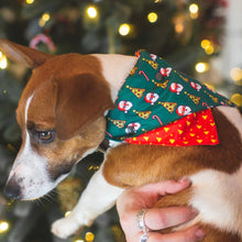 Load image into Gallery viewer, Dog rocking the ‘Merry Pizzamas’ Christmas Bandana during holiday celebrations.