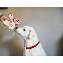 Load image into Gallery viewer, Dog playing with the Christmas Candy Canes Plush Toy, perfect for festive celebrations