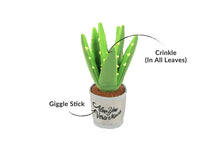 Load image into Gallery viewer, P.L.A.Y Blooming Buddies Aloe-ve You Plant Plush Dog Toy