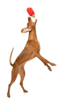 Load image into Gallery viewer, Fuzzyard Gin-Gle All The Way: The Holiday Spirit For Playful Pups