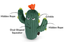 Load image into Gallery viewer, P.L.A.Y Blooming Buddies Prickly Pup Cactus Plush Dog Toy