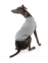 Load image into Gallery viewer, Fuzzyard The FY Sweater - Grey