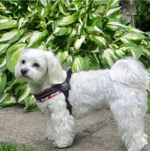 Load image into Gallery viewer, Tre Ponti Easy Fit Mesh Pink Camo Harness with Adjustable Girth