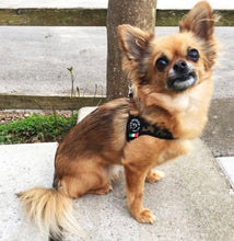 Load image into Gallery viewer, Tre Ponti Easy Fit Camouflage Harness with Adjustable Girth