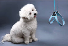 Load image into Gallery viewer, Tre Ponti Easy Fit Liberta Light Blue Harness with No Escape Adjustable Closure