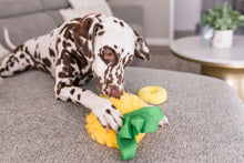 Load image into Gallery viewer, P.L.A.Y Tropical Paradise Paws Up Pineapple Plush Dog Toy