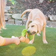 Load image into Gallery viewer, P.L.A.Y Tropical Paradise Puppy Palm Plush Dog Toy