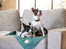 Load image into Gallery viewer, Fuzzyard Life Luxury Comforter Blanket - Myrtle Green