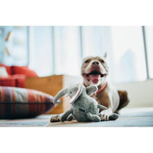 Load image into Gallery viewer, P.L.A.Y Elephant Plush Dog Toy – Big 5 of Africa
