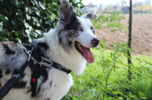 Load image into Gallery viewer, Tre Ponti Forza Anti-Pull Harness Black