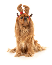 Load image into Gallery viewer, Fuzzyard Reindeer Antlers